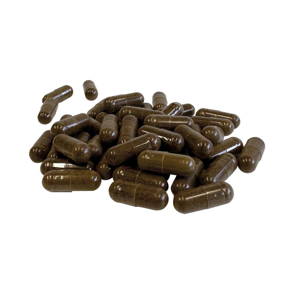 Fit4Seasons Ashwagandha