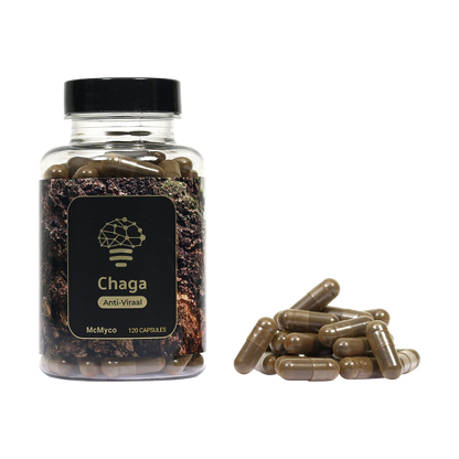 Chaga capsules