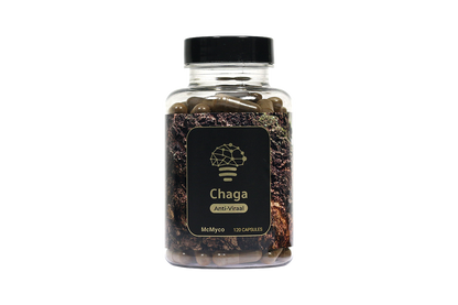 Chaga extract capsules – 120 stuks