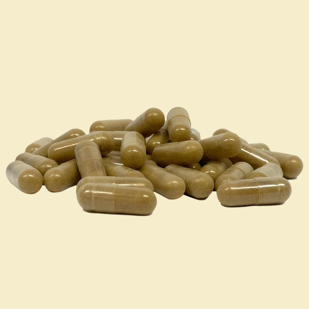 Maitake extract capsules – 120 stuks