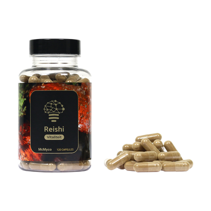 Reishi capsules