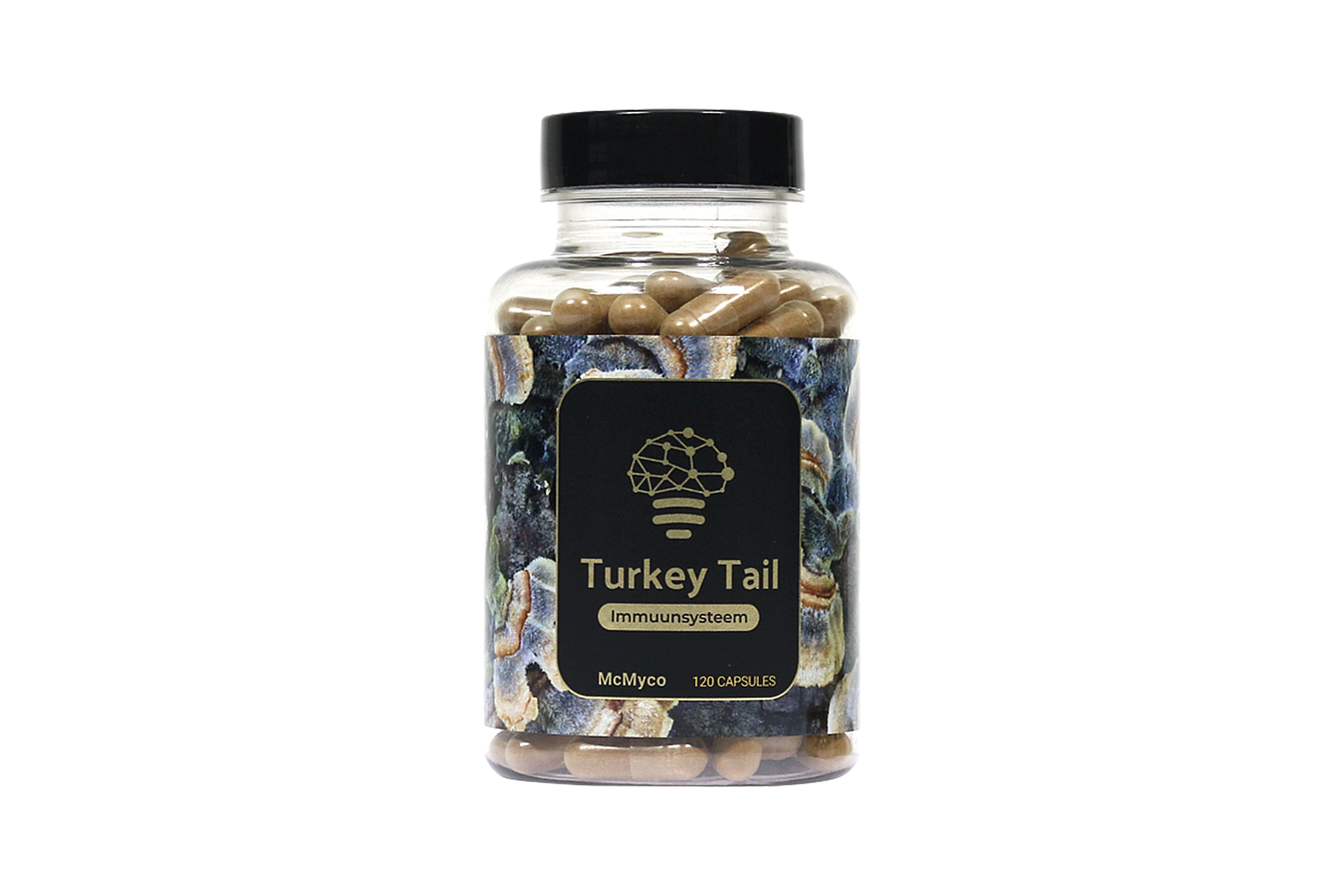 Turkey Tail extract capsules – 120 pieces